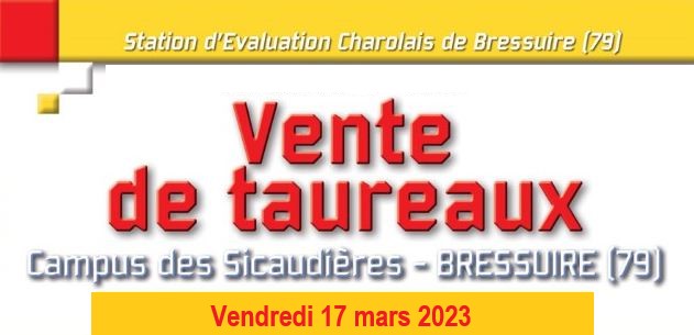 Bovineo : Vente de taureaux à Bressuire - Vendredi 17 mars 2023