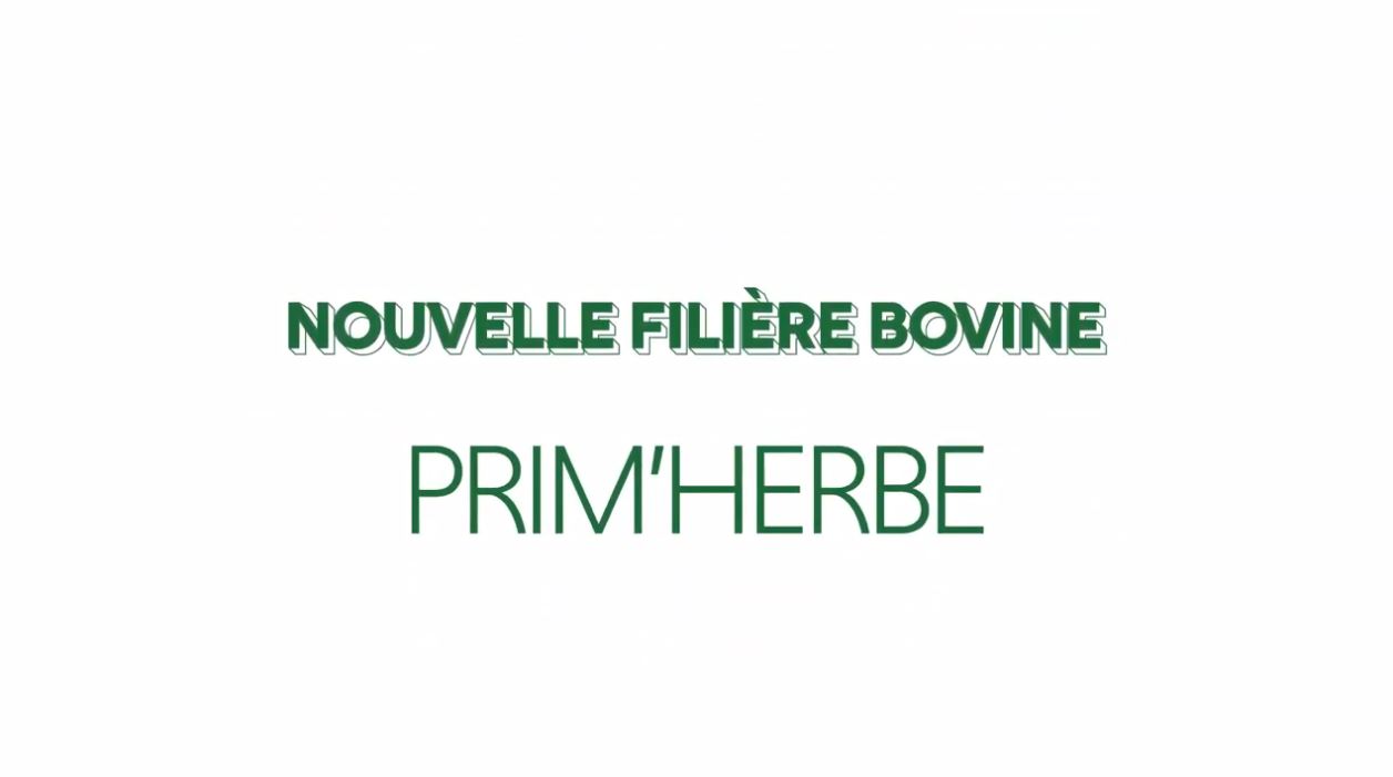 Bovineo : Nouveaux contrats Prim'Herbe