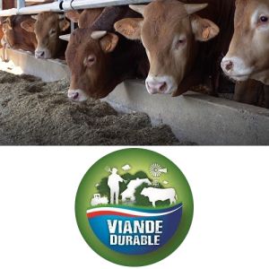 Bovineo : La filière viande durable Beter Leven