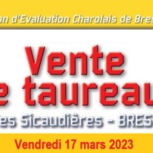 Bovineo : Vente de taureaux à Bressuire - Vendredi 17 mars 2023