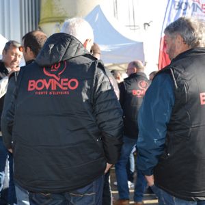 Bovineo : Retour sur les 10 ans de Bovinéo